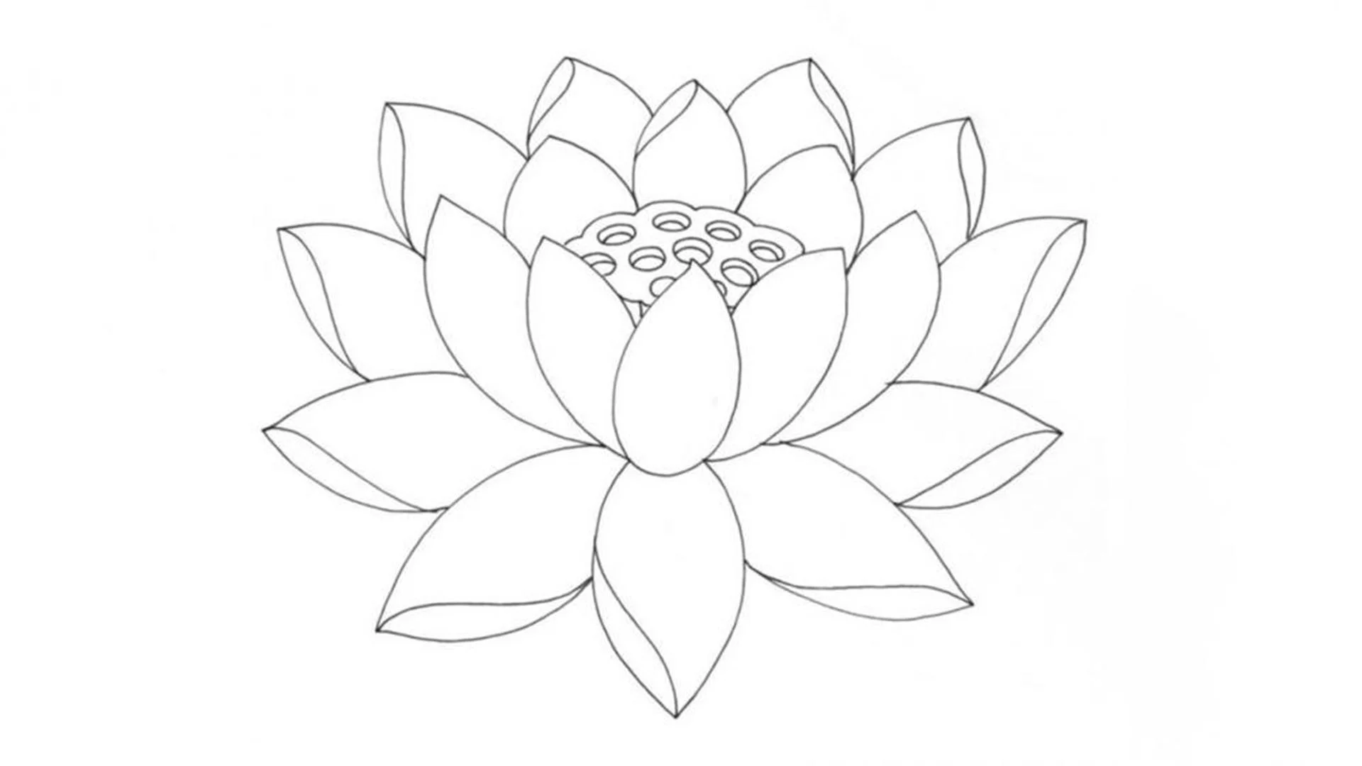Tuyển chọn hoa sen vẽ — hình 13