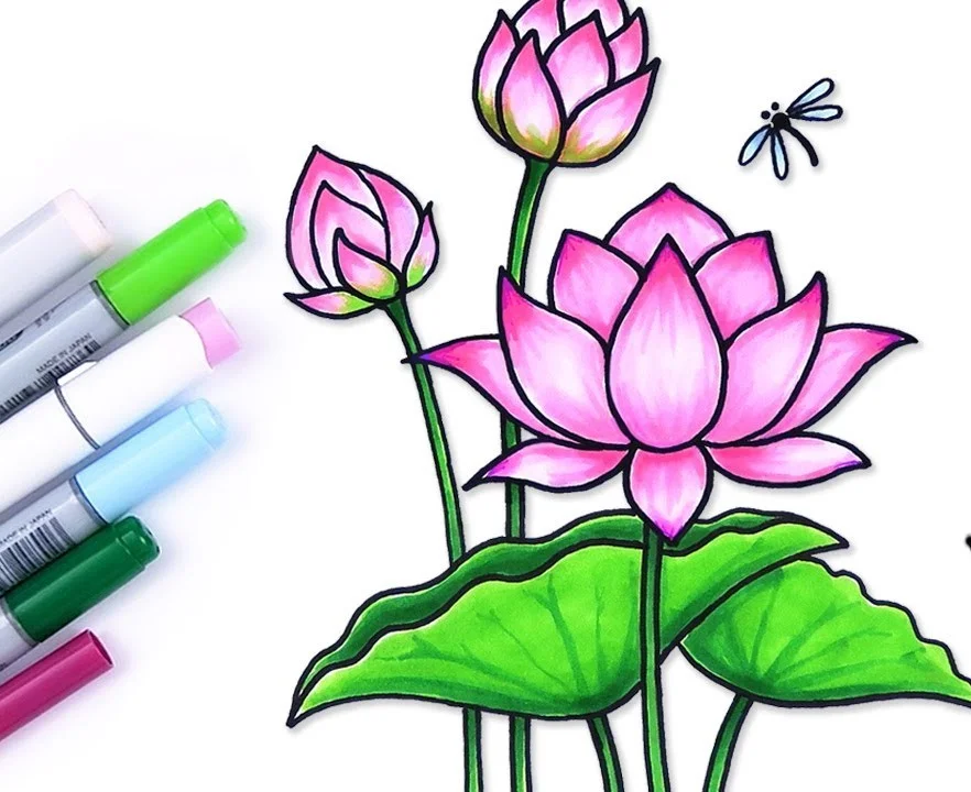 Ảnh 10 minh hoạ hoa sen vẽ