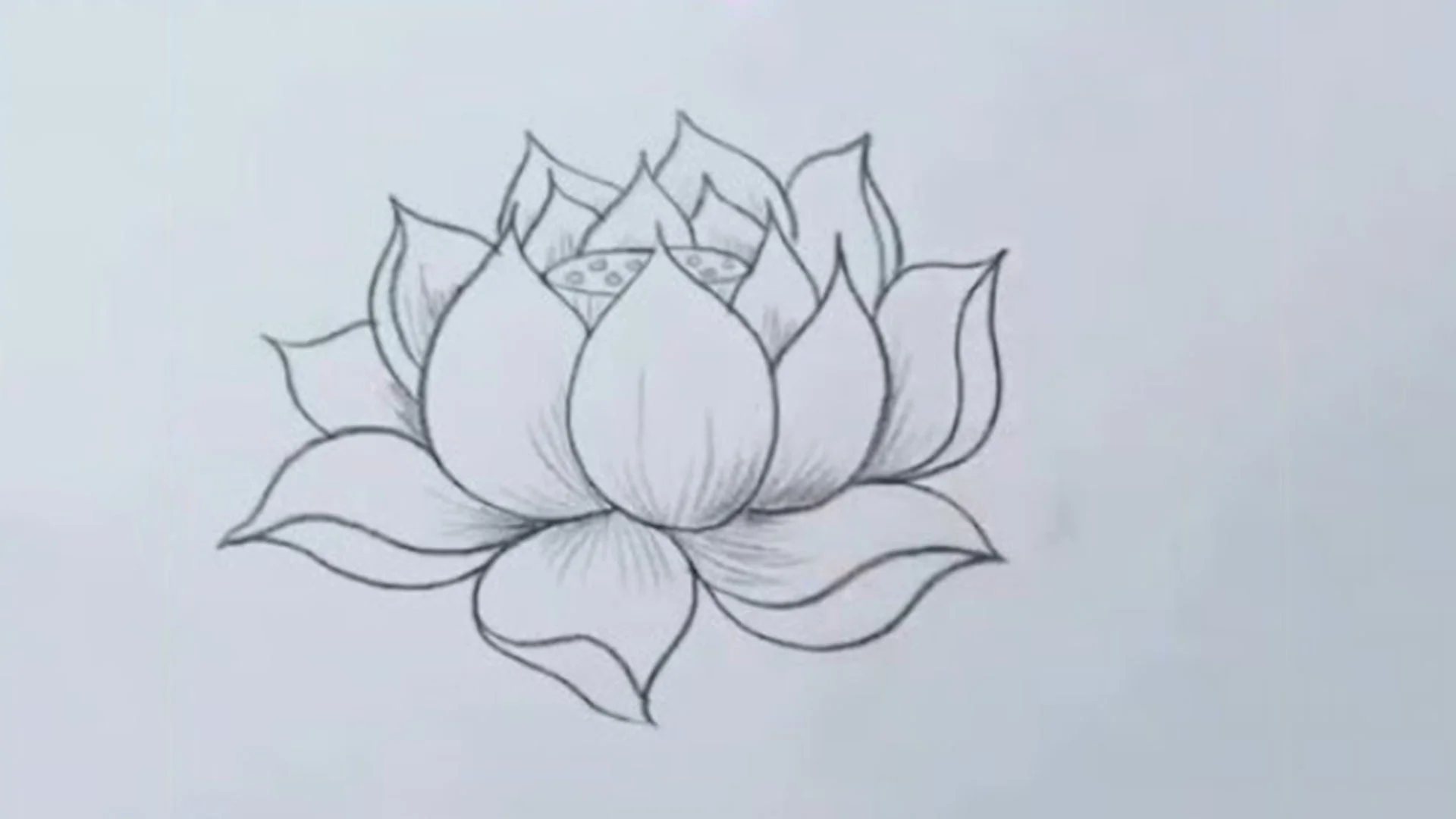hoa sen vẽ: gợi ý số 6