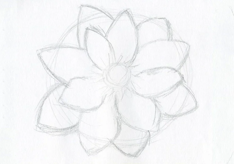 hoa sen vẽ, mẫu 19