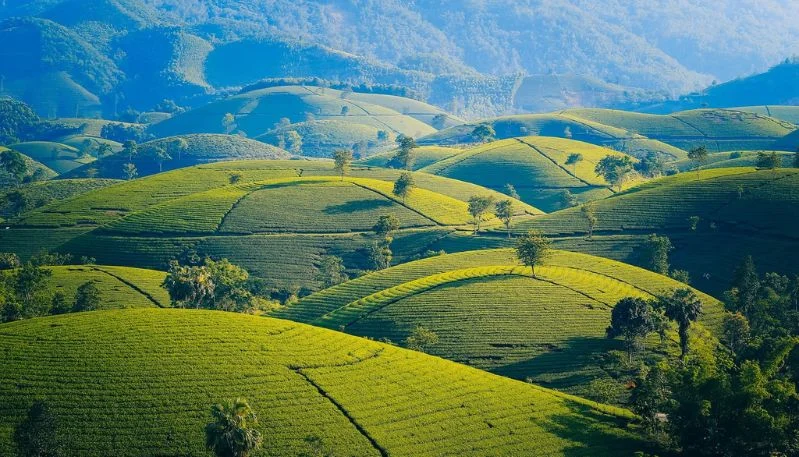 hình nền phong cảnh thiên nhiên (8)