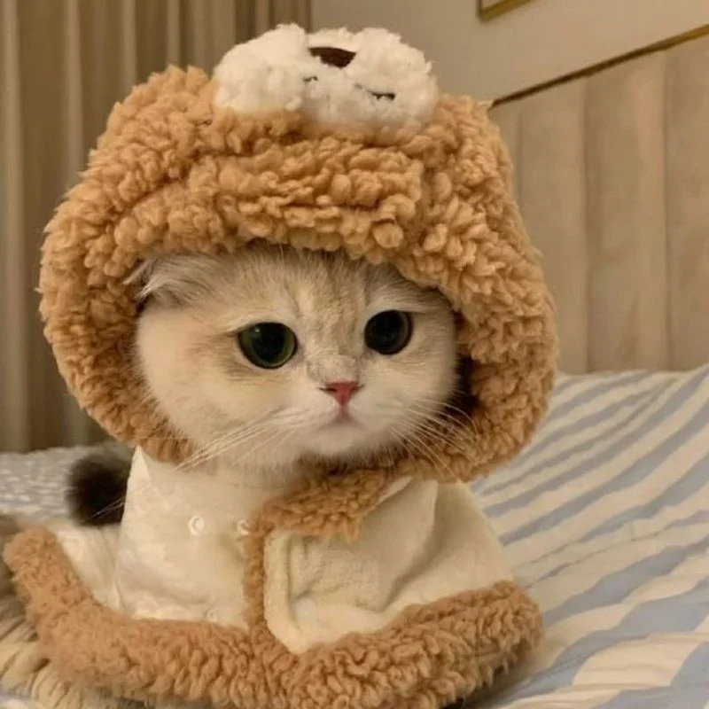 Tổng Hợp Avatar Ảnh Mèo Cute Dễ Thương Không Thể Yêu hơn - Nâng tầm bài thuyết trình với Hình Nền Powerpoint Đẹp!