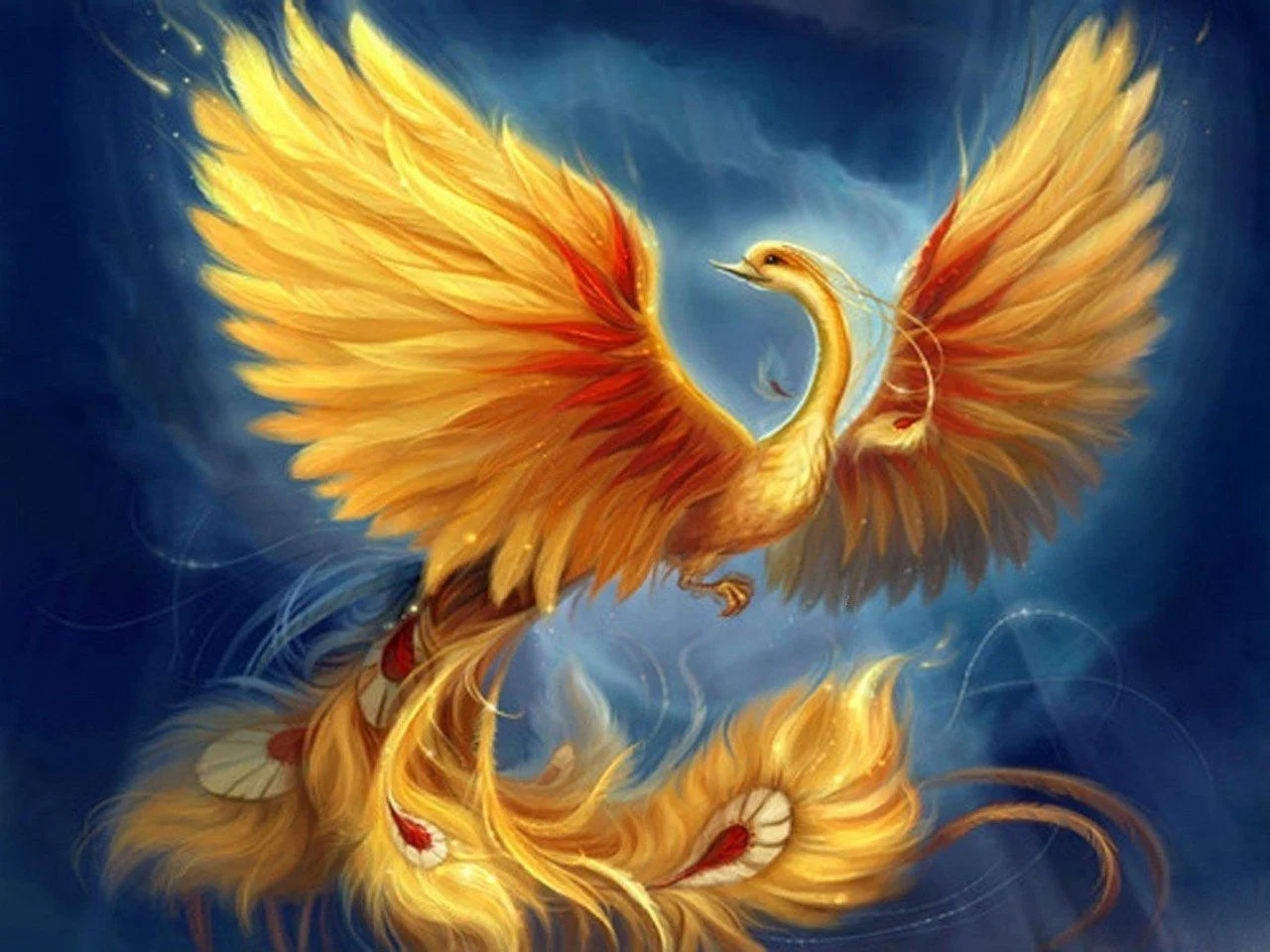 Hình nền phượng hoàng lửa vàng óng ánh tung cánh trên nền trời xanh