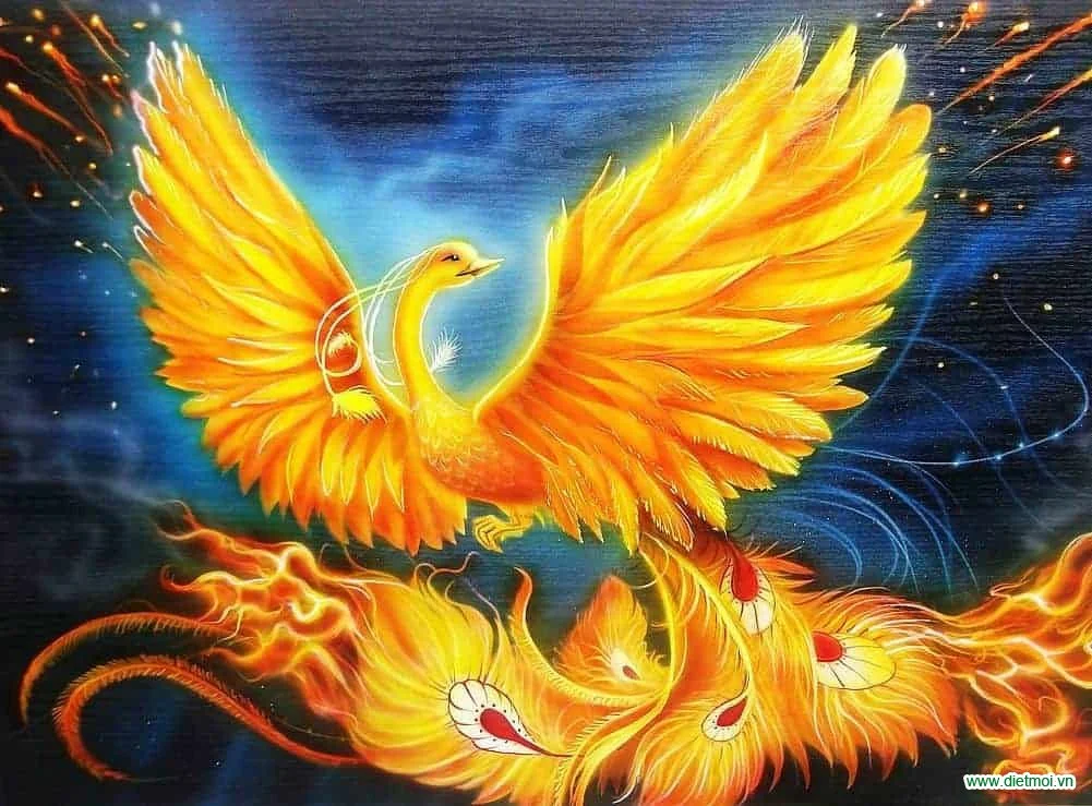 10 Hình Ảnh Về Chim Phượng Hoàng Đẹp Mê Lòng Người