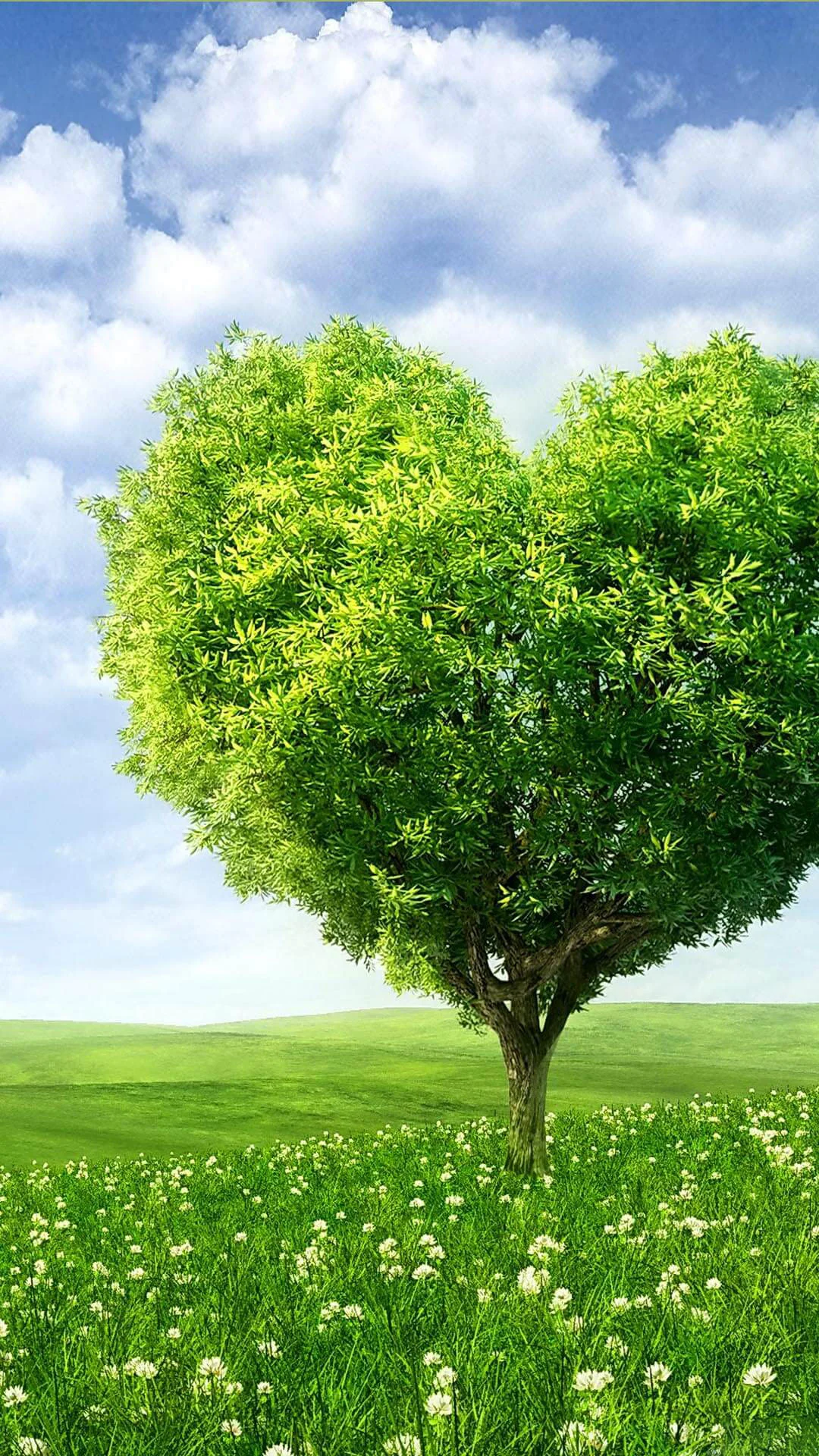 Hình nền thiên nhiên đẹp cho điện thoại