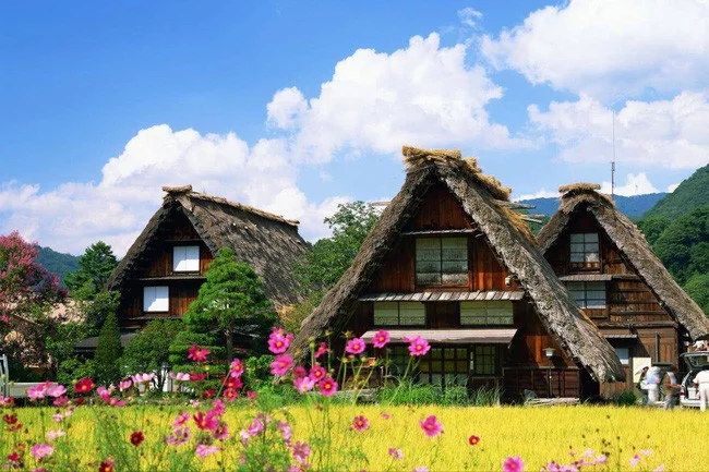 Những ngôi nhà đẹp tựa tranh vẽ ở nông thôn Nhật Bản - Báo Người Lao Động