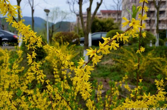 ảnh hoàng hôn (12)