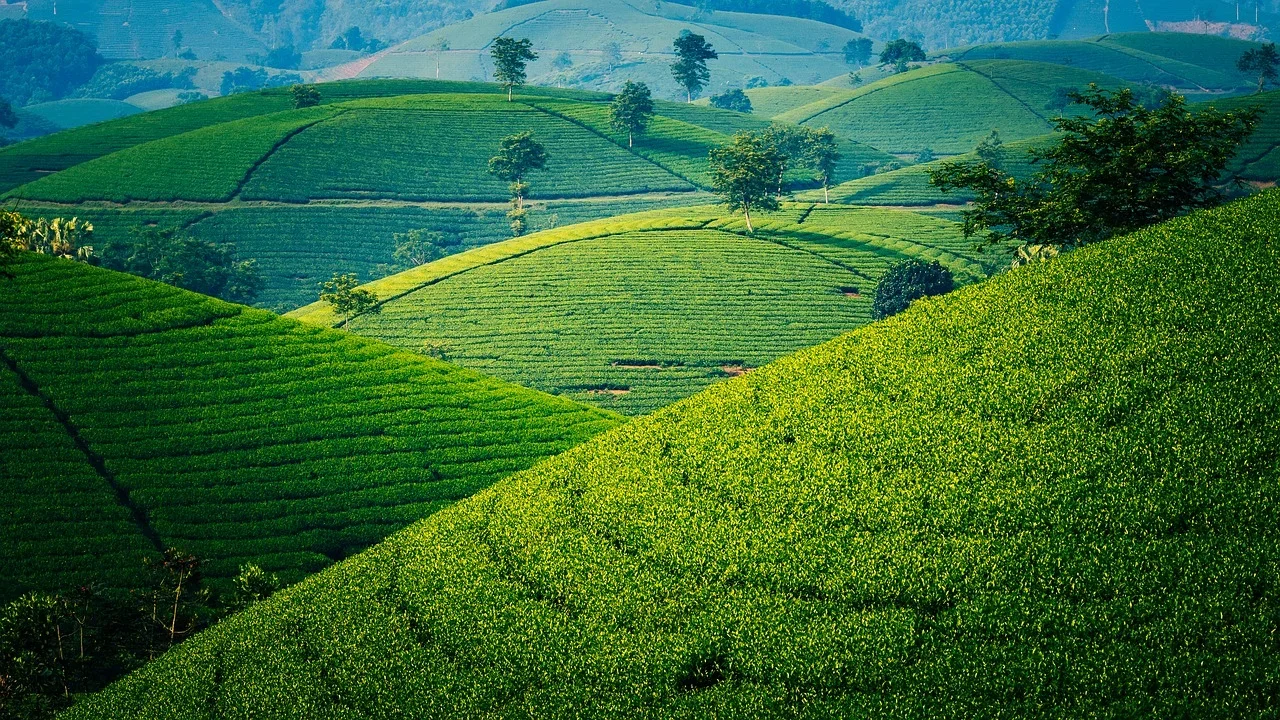 80000+ Phong Cảnh Việt Nam & ảnh Việt Nam miễn phí - Pixabay
