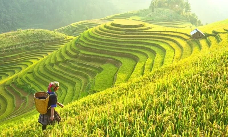Tổng Hợp 17 Loại Hình Du Lịch Phổ Biến Nhất Hiện Nay