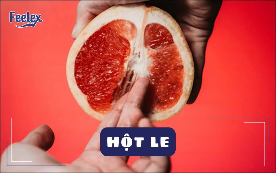 Hột Le: Tất Tần Tật Về “Nút Bấm Khoái Cảm” Của Phụ Nữ