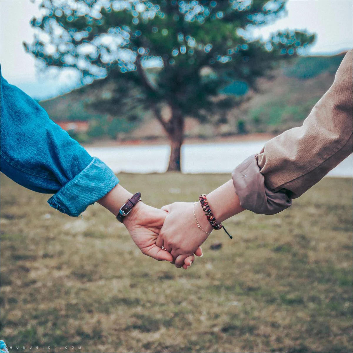 Cặp đôi nắm tay nhau trên đồi cỏ